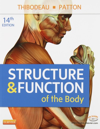Structure function of the - &,